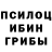 Галлюциногенные грибы Psilocybe greencraft