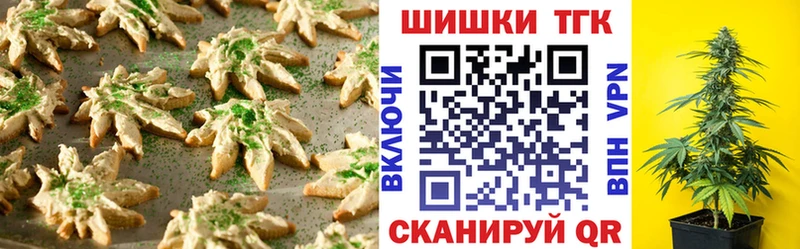 MEGA как зайти  мориарти клад  Cannafood конопля  Гусев 
