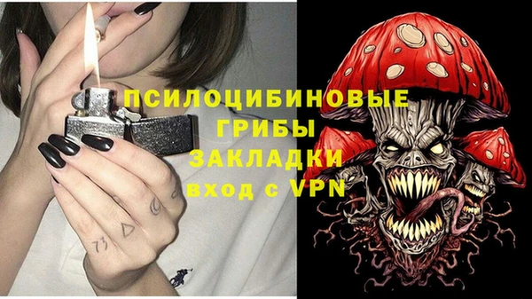 мескалин Богданович