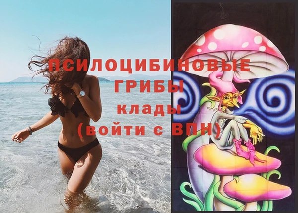 эйфоретик Богородск