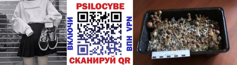 Галлюциногенные грибы MAGIC MUSHROOMS Гусев