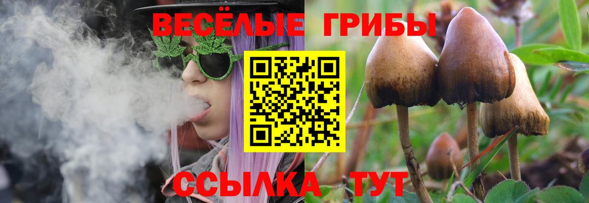 Гусев  Псилоцибиновые грибы MAGIC MUSHROOMS  Вход с VPN 