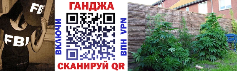 наркотики  МЕГА как войти  Каннабис OG Kush  Гусев 